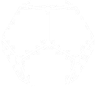Evolve logo